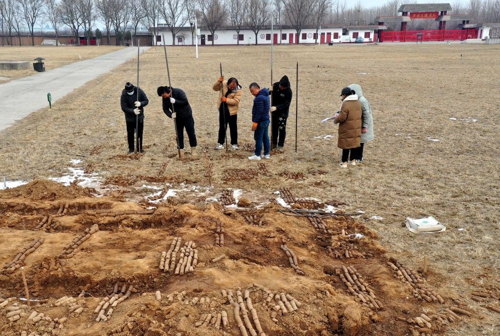 在殷墟王陵遺址，工作人員在勘探圍溝范圍（2月24日攝）。