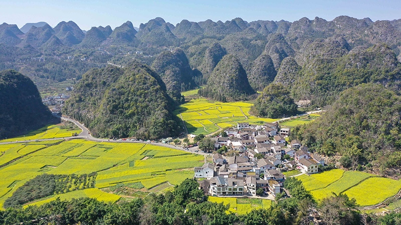 2024年2月17日，貴州省興義市萬峰林景區(qū)的油菜花海景色（無人機(jī)照片）。