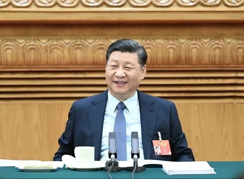 2019年3月8日，習(xí)近平參加十三屆全國人大二次會議河南代表團(tuán)的審議。新華社記者 謝環(huán)馳 攝