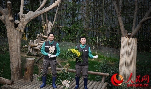 熊貓飼養(yǎng)員姜哲遠(yuǎn)和宋永寬向媒體介紹為“福寶”準(zhǔn)備的送別禮物。人民網(wǎng) 李帆攝