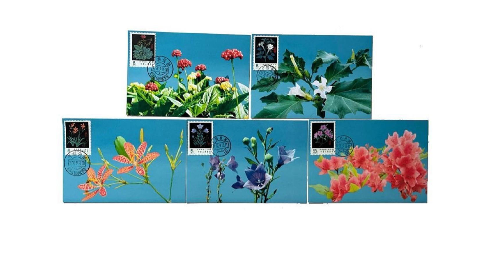 首套藥用植物極限片。第七屆阿聯(lián)酋集郵展主辦方供圖
