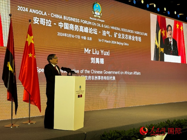 中國政府非洲事務(wù)特別代表劉禹錫。人民網(wǎng)記者 張榮攝