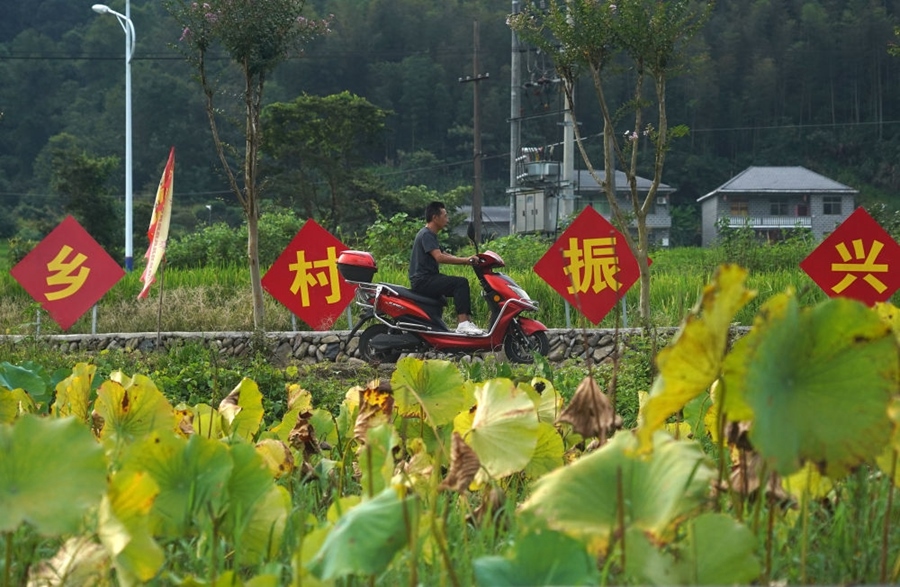 2023年8月24日拍攝的江西省靖安縣璪都鎮(zhèn)港背村一景。該村在當?shù)卣С窒拢薰沤?，建民宿，搞開發(fā)，引進竹筏漂流、觀光采摘、農(nóng)耕體驗、森林研學等多種旅游業(yè)態(tài)，建成新田園生態(tài)度假小鎮(zhèn)，發(fā)展鄉(xiāng)村旅游，走上致富路。