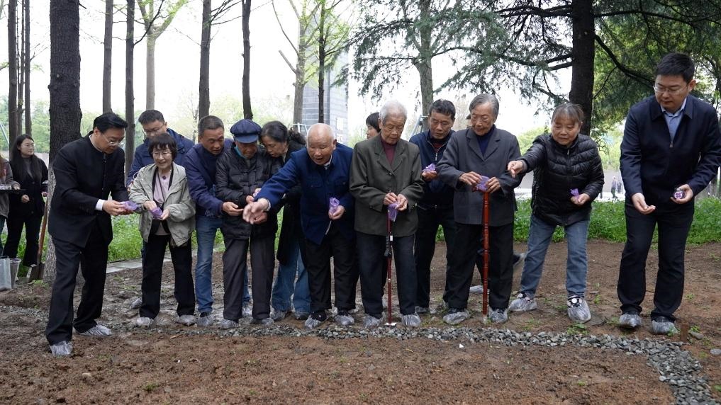 南京大屠殺幸存者代表、死難者遺屬代表等在紀(jì)念館的和平公園里，播撒下紫金草的種子。新華社記者林凱 攝