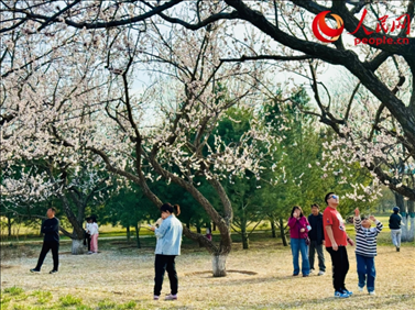 游客在北京長(zhǎng)陽(yáng)公園賞花。人民網(wǎng)記者 劉微攝