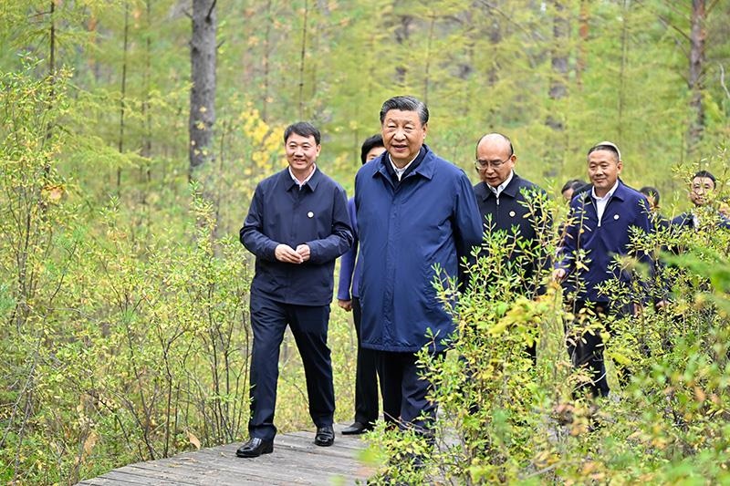 △2023年9月6日，習近平總書記在大興安嶺地區(qū)漠河市漠河林場自然林區(qū)考察。