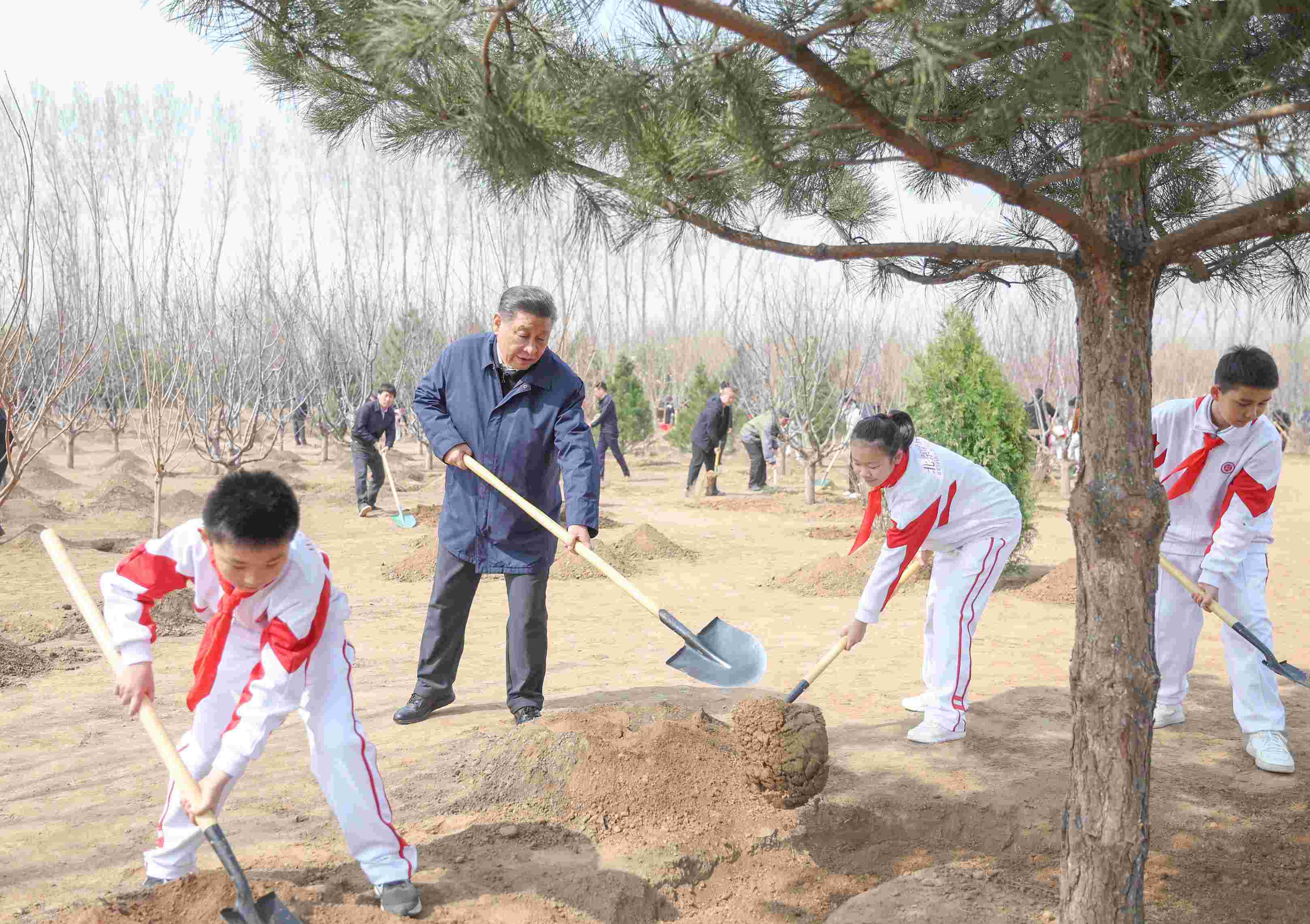 2024年4月3日，習(xí)近平總書記來到北京市通州區(qū)潞城鎮(zhèn)參加首都義務(wù)植樹活動(dòng)。