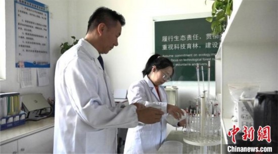 圖為王佐(左一)在廠區(qū)實(shí)驗(yàn)室內(nèi)工作。白先森 攝