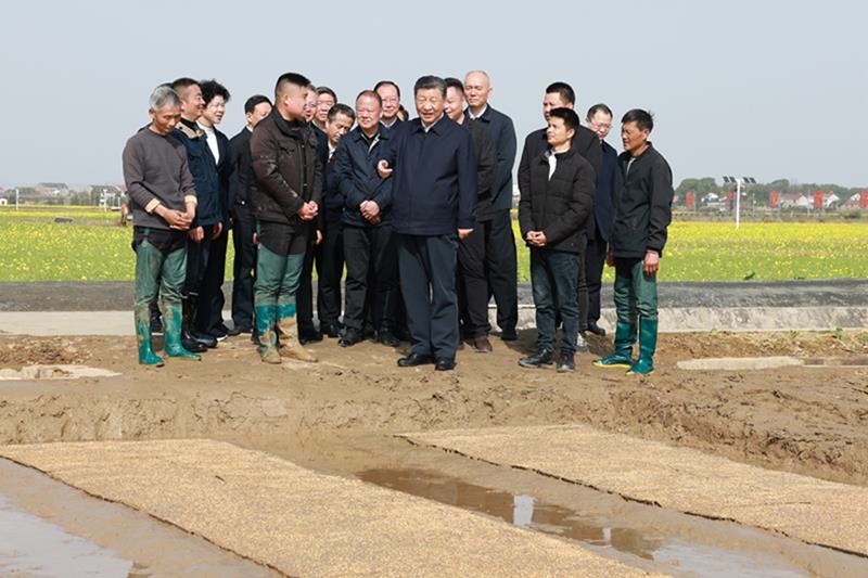 △2024年3月19日，在湖南常德市鼎城區(qū)謝家鋪鎮(zhèn)港中坪村，習(xí)近平總書記走進(jìn)田間，察看秧苗培育和春耕備耕進(jìn)展。