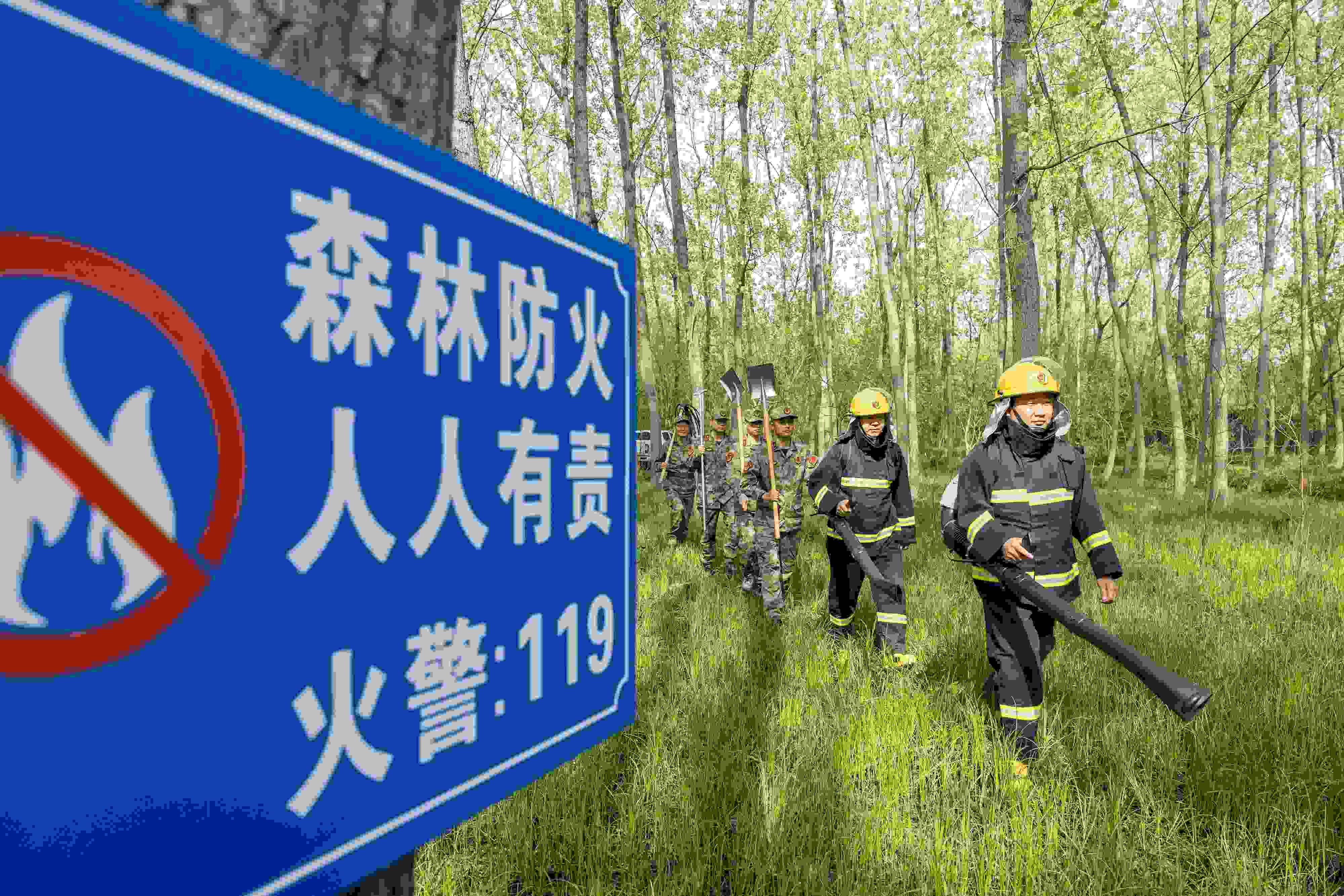 2024年4月9日，合肥市大房郢水庫水源保護地廬陽經(jīng)濟開發(fā)區(qū)段，基干民兵正在林間巡查火災隱患。