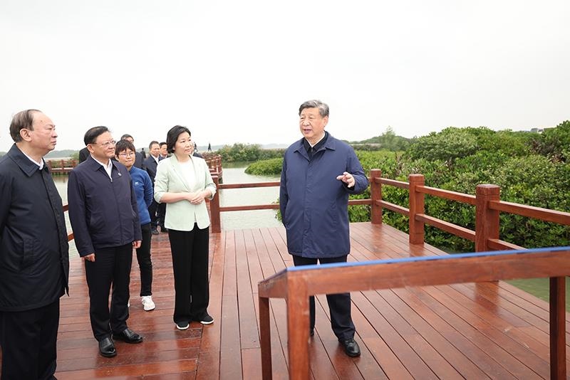 △2023年4月10日，習(xí)近平總書記在廣東湛江市麻章區(qū)湖光鎮(zhèn)金牛島紅樹(shù)林片區(qū)考察。