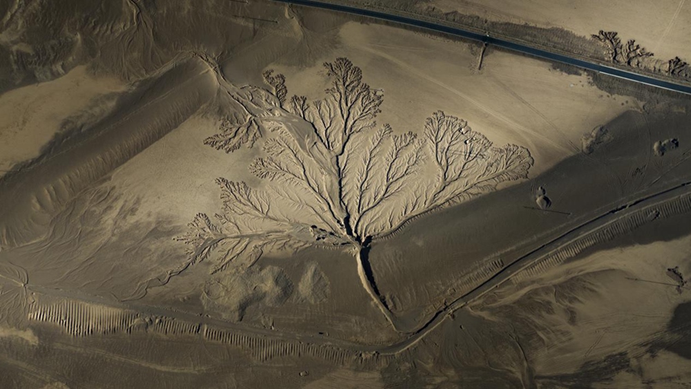 無人機視角下的西藏阿里地區(qū)改則縣“大地之樹”景觀。尼瑪多吉攝