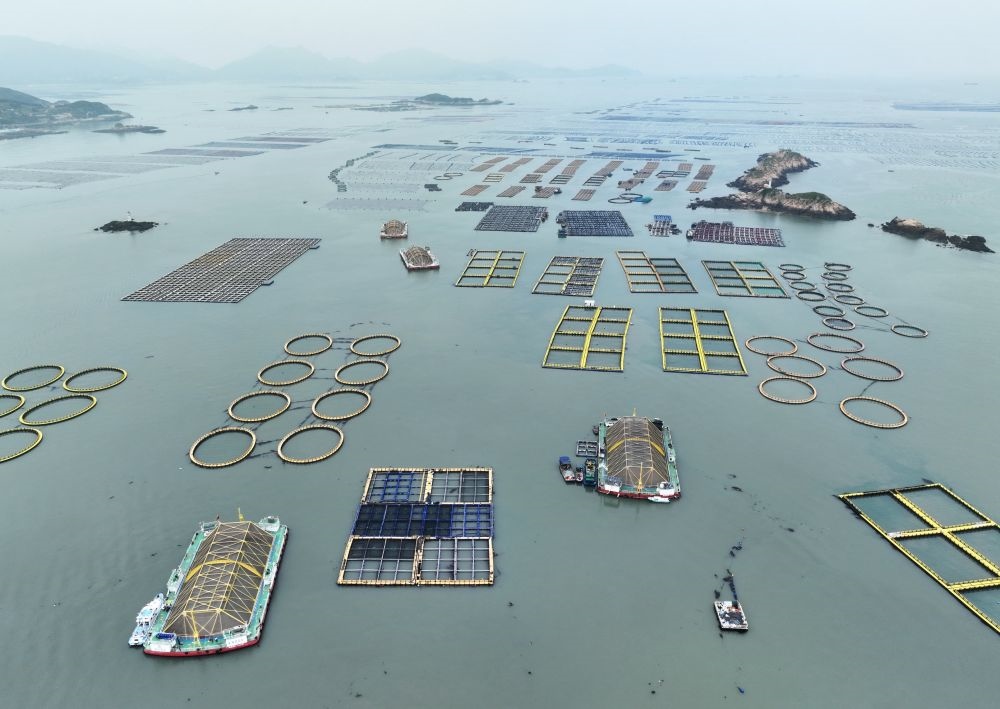 在福建連江定海灣海域，坐落著“定海灣1號(hào)”“定海灣2號(hào)”等深遠(yuǎn)海養(yǎng)殖平臺(tái)（2024年5月7日攝，無人機(jī)照片）。新華社記者 林善傳 攝