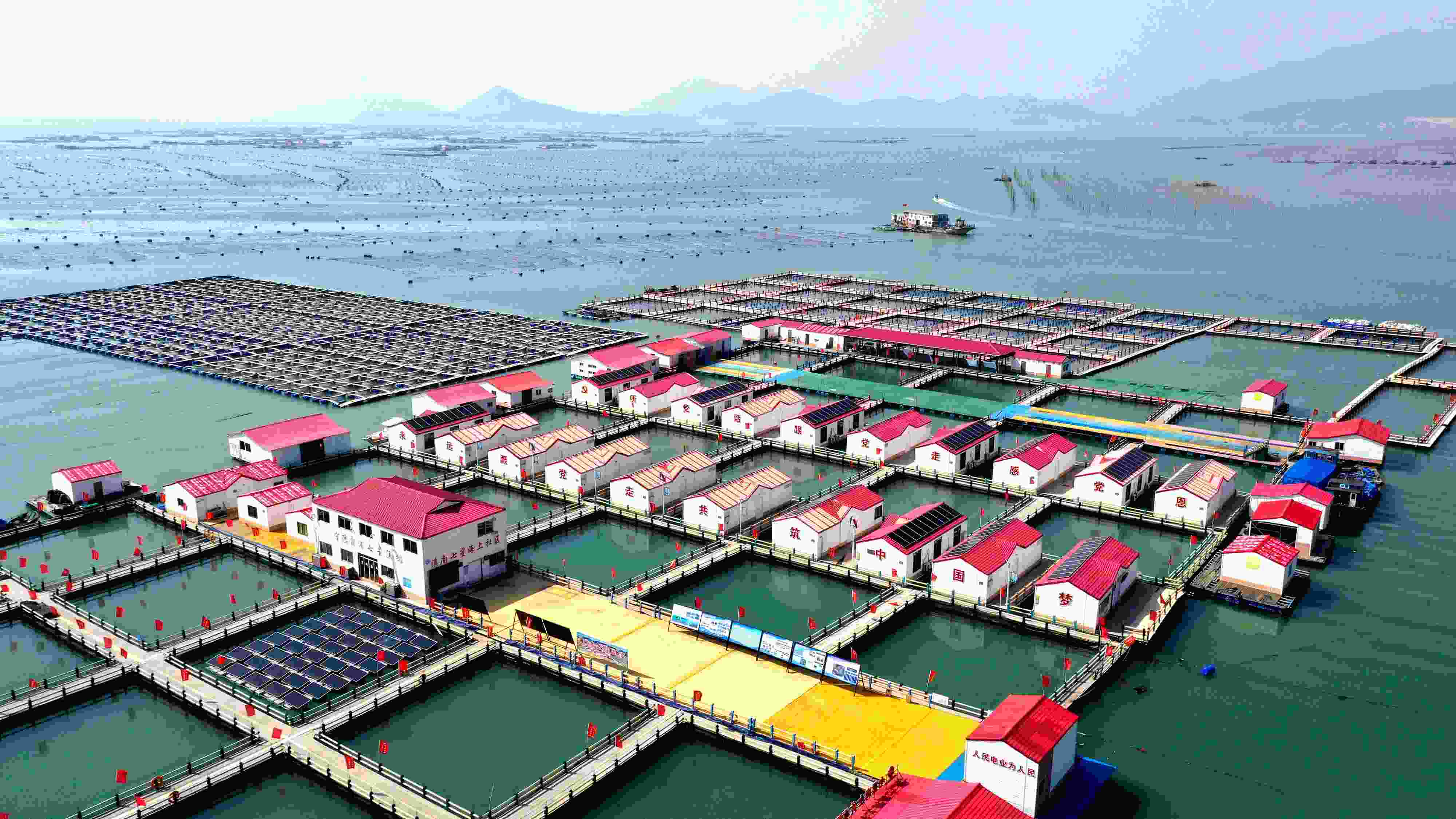 2024年3月20日，福建省寧德市，霞浦縣溪南鎮(zhèn)七星村漁排養(yǎng)殖示范區(qū)，漁民駕駛養(yǎng)殖船進(jìn)行海參養(yǎng)殖作業(yè)。