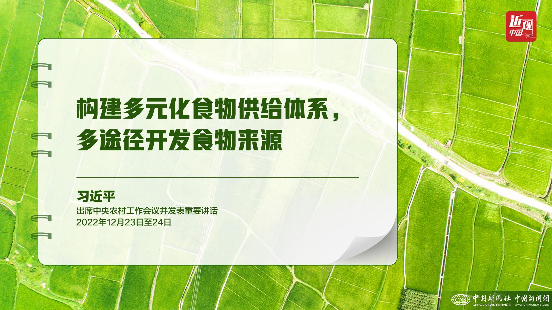 習(xí)近平：樹(shù)立大食物觀，構(gòu)建多元化食物供給體系