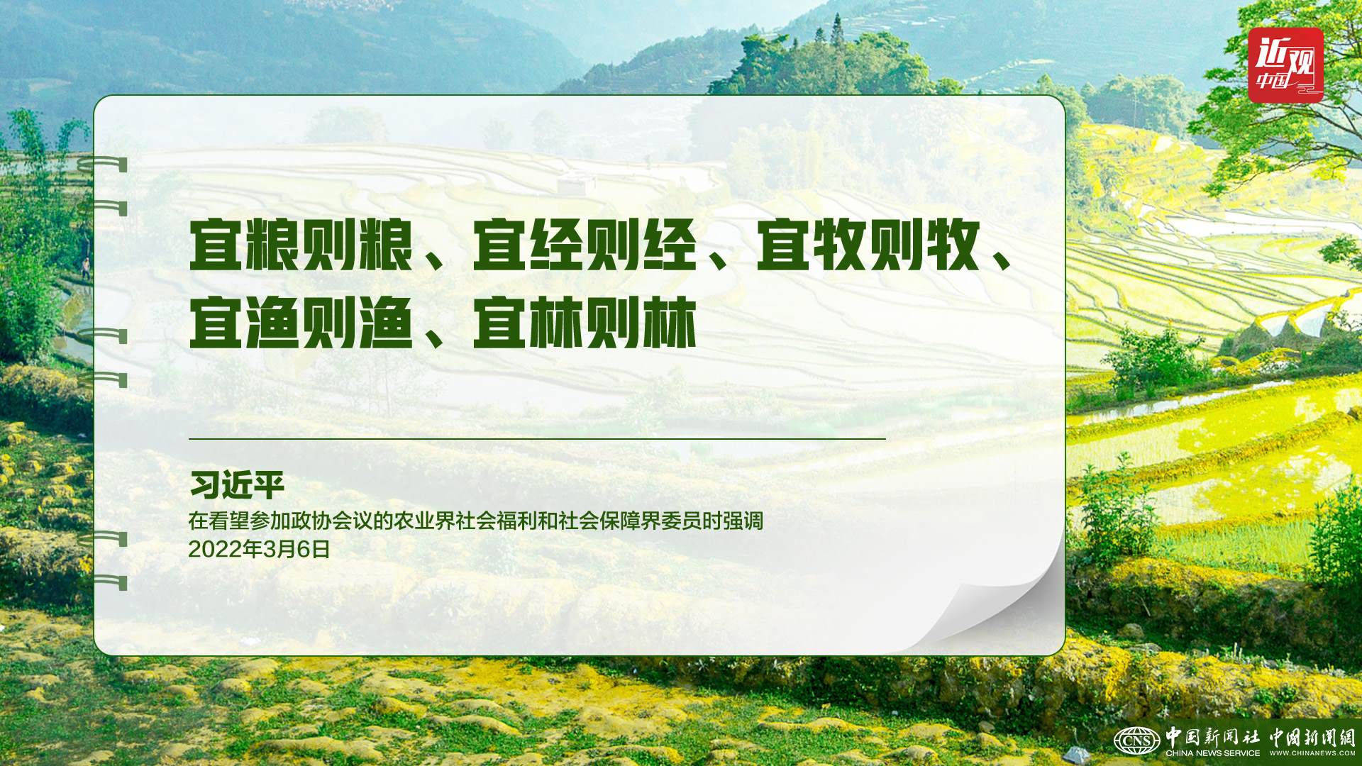 習(xí)近平：樹(shù)立大食物觀，構(gòu)建多元化食物供給體系