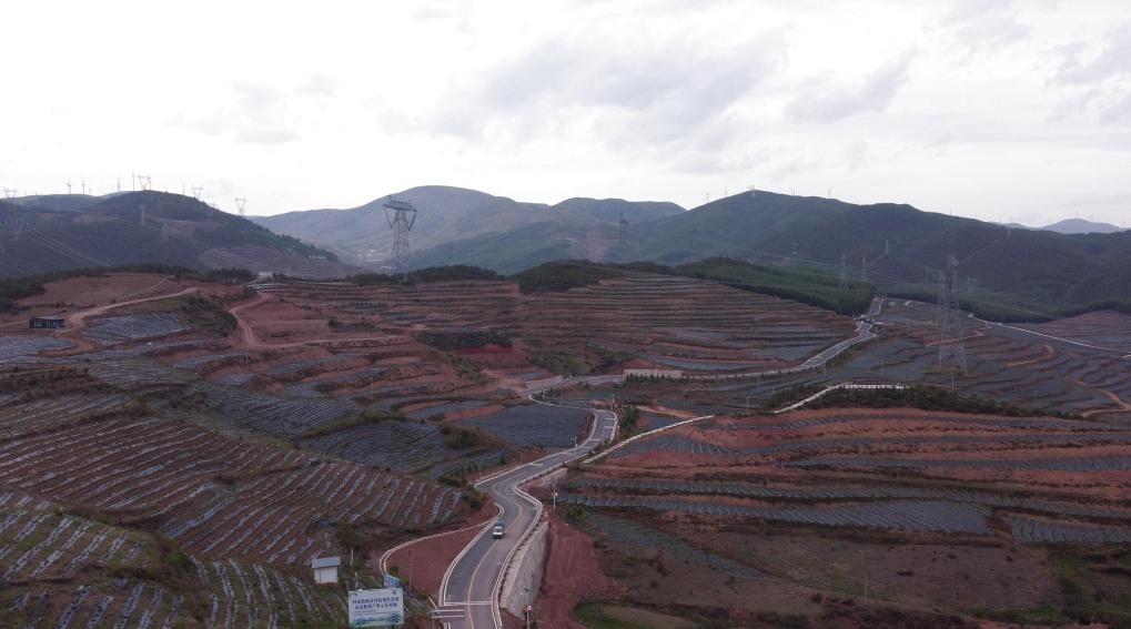 火普村的藍(lán)莓基地一角（無人機(jī)照片）。新華社記者 尹恒 攝