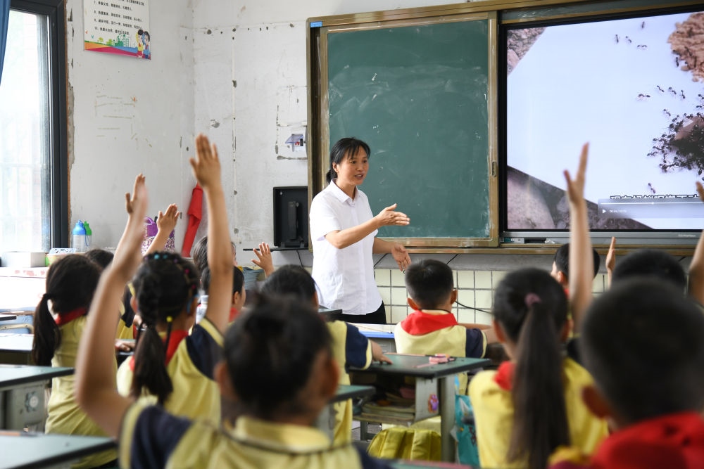 5月31日，學生在科學課上與老師互動。