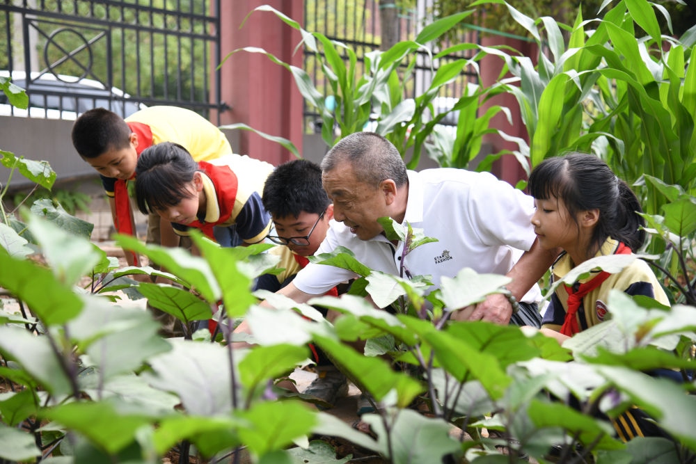 5月31日，老師帶領(lǐng)學(xué)生在之江小學(xué)勞動(dòng)實(shí)踐基地學(xué)習(xí)蔬菜知識(shí)。新華社記者 胥冰潔 攝
