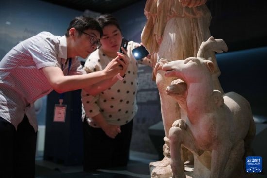 7月2日，安徽博物院工作人員在拍攝開(kāi)箱后的古希臘文物。新華社記者 張端 攝