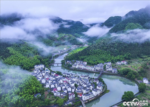 2024年6月19日，浙江省杭州市淳安縣楓樹(shù)嶺鎮(zhèn)下姜村，雨后云霧繚繞。