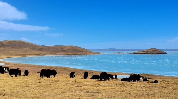 在三江源國(guó)家公園黃河源園區(qū)拍攝的扎陵湖風(fēng)光（2022年3月12日攝）。新華社記者 呂雪莉 攝