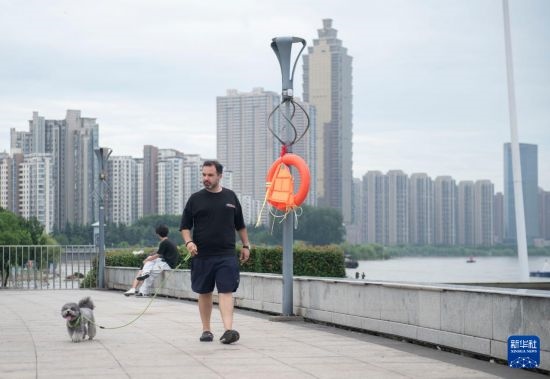 7月20日，在安徽蕪湖市，馬丁在長江邊遛狗。新華社記者 傅天 攝