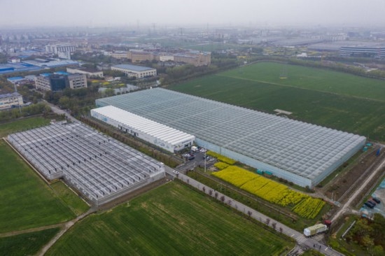2024年3月28日，空中俯瞰嘉興南湖區(qū)湘家蕩農(nóng)業(yè)數(shù)字化工廠（無(wú)人機(jī)照片）。該農(nóng)業(yè)數(shù)字化工廠占地總面積約62畝，包含智慧農(nóng)業(yè)生產(chǎn)、物聯(lián)網(wǎng)智能管理、自動(dòng)分揀包裝、保鮮儲(chǔ)藏物流、高科技示范展示等五大功能區(qū)，可直接或間接培養(yǎng)帶動(dòng)新型職業(yè)技術(shù)農(nóng)民500人以上。新華社記者 徐昱 攝