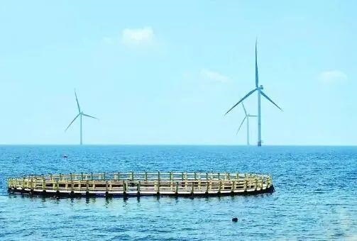 △山東萊州風(fēng)電項(xiàng)目實(shí)現(xiàn)了海上風(fēng)電和海洋牧場(chǎng)融合發(fā)展。