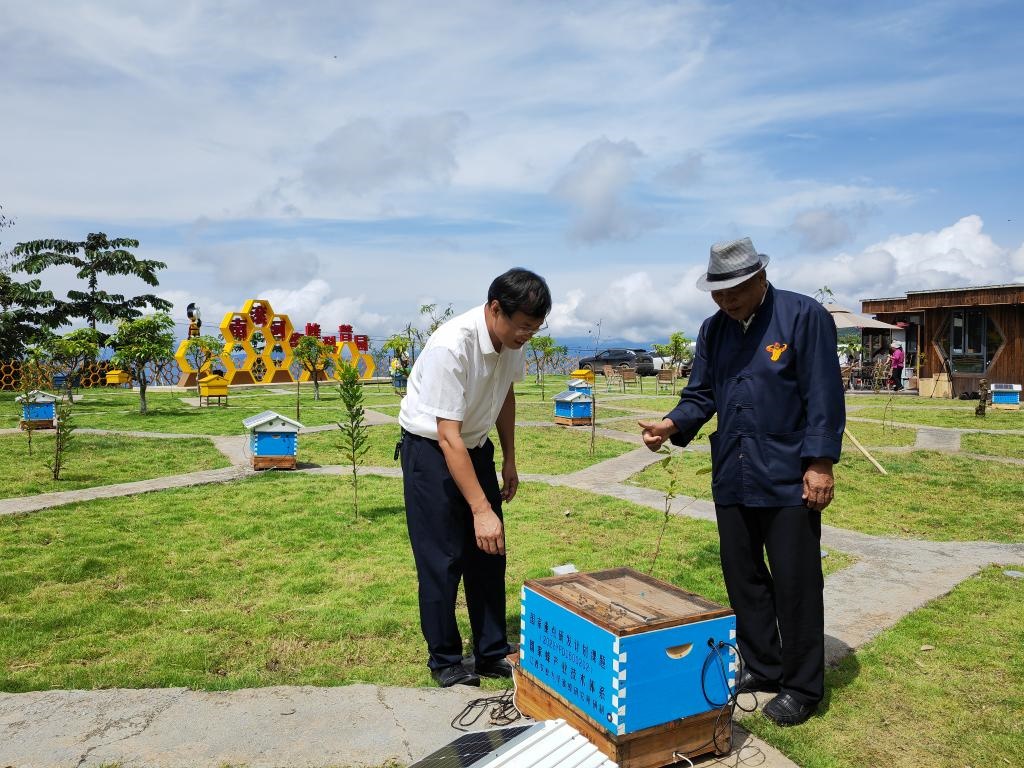 8月17日，中國農(nóng)業(yè)科學(xué)院蜜蜂研究所研究員黃家興（左）向巖翁介紹智能化蜜蜂飼養(yǎng)蜂箱。新華社記者吉哲鵬 攝