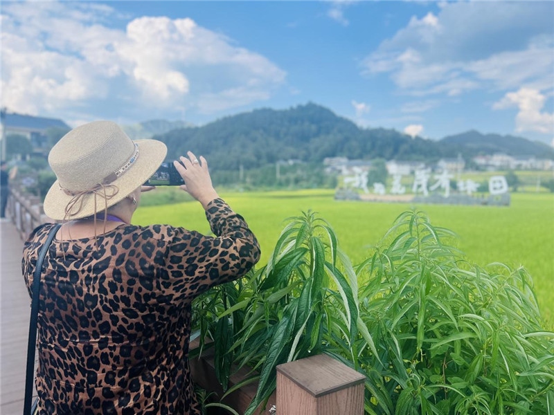 “我在花茂有塊田”，不僅是中國(guó)人的詩(shī)和遠(yuǎn)方，也是塔吉克斯坦“阿維斯塔”通訊社總編輯占納特洪·庫(kù)爾班諾娃的“烏托邦”。（張亞欣攝）