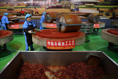 工人用電動石碾加工辣椒面。新華社記者 范培珅 攝
