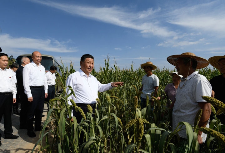 2021年9月13日至14日，中共中央總書記、國(guó)家主席、中央軍委主席習(xí)近平在陜西省榆林市考察。這是13日下午，習(xí)近平在米脂縣銀州街道高西溝村臨時(shí)下車，察看糧食作物長(zhǎng)勢(shì)，同正在田間勞作的老鄉(xiāng)拉家常。新華社記者 李學(xué)仁 攝