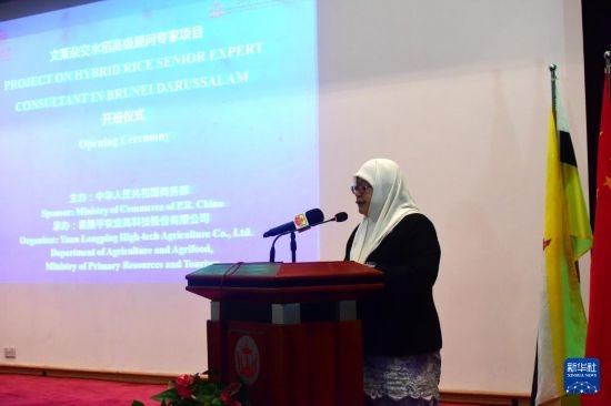 10月26日，文萊初級資源與旅游部常任秘書圖蒂亞蒂在斯里巴加灣市出席中國與文萊雜交水稻高級專家顧問項目啟動儀式。新華社記者 李萌 攝