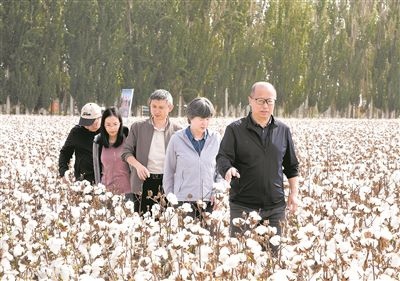 李召虎團隊成員在棉田了解試驗情況。 受訪單位供圖