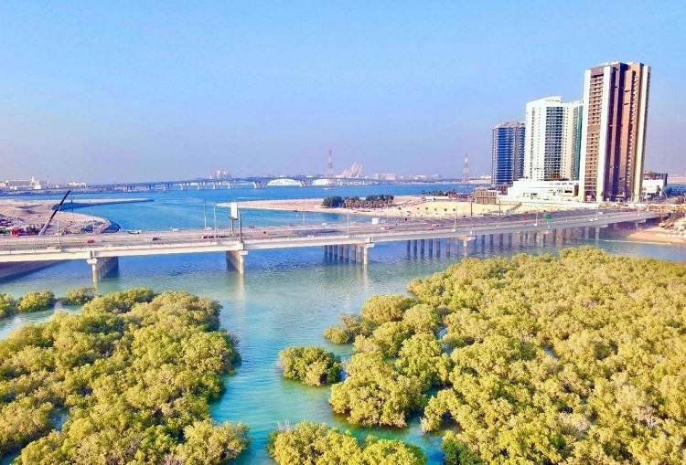 圖為瑞姆橋施工現(xiàn)場。中國土木供圖