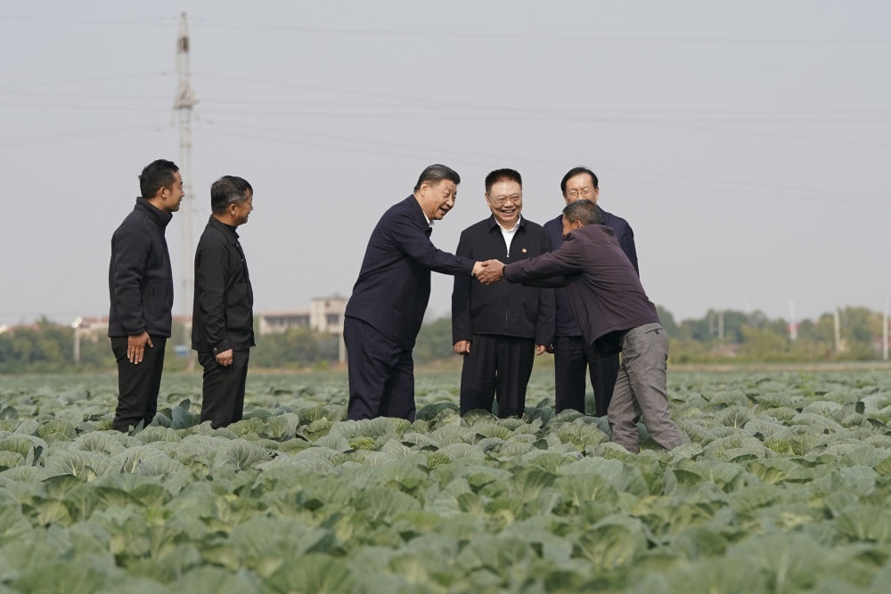 2024年11月5日，習(xí)近平在咸寧市嘉魚縣潘家灣鎮(zhèn)十里蔬菜長廊考察時，同菜農(nóng)親切交流。