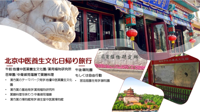 “你好！中國·休閑旅游—中國旅游說明會”宣講材料。中國駐東京旅游辦事處供圖