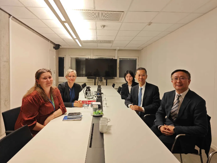 中國駐瑞典大使崔愛民會見瑞典聯(lián)合國教科文組織全國委員會秘書長。中國駐瑞典大使館供圖