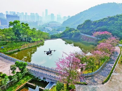 無人機(jī)在深圳塘朗山郊野公園里巡檢。新華社發(fā)