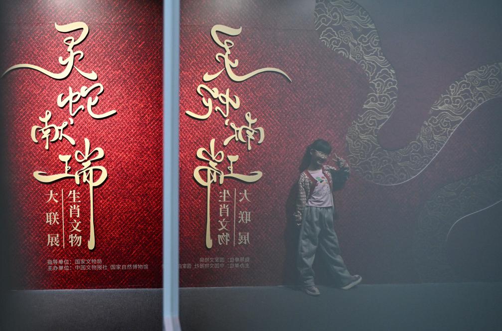 1月18日，一名小朋友在國家自然博物館舉辦的“靈蛇獻瑞——2025乙巳蛇年生肖文物大聯(lián)展”展覽中拍照留念。（新華社記者 陳鐘昊 攝）