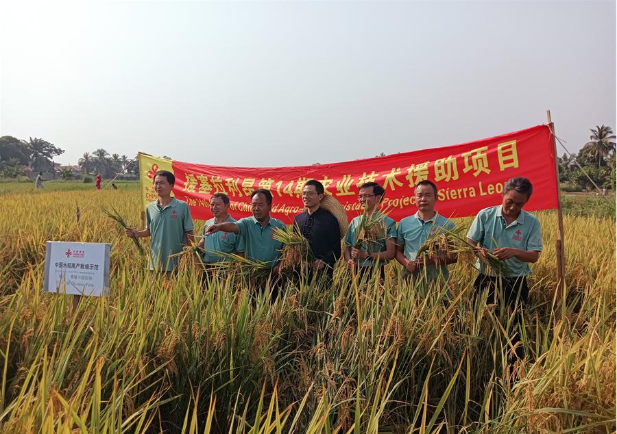中國駐塞拉利昂大使王擎和援塞農(nóng)業(yè)專家組合影。中國援塞農(nóng)業(yè)專家組供圖