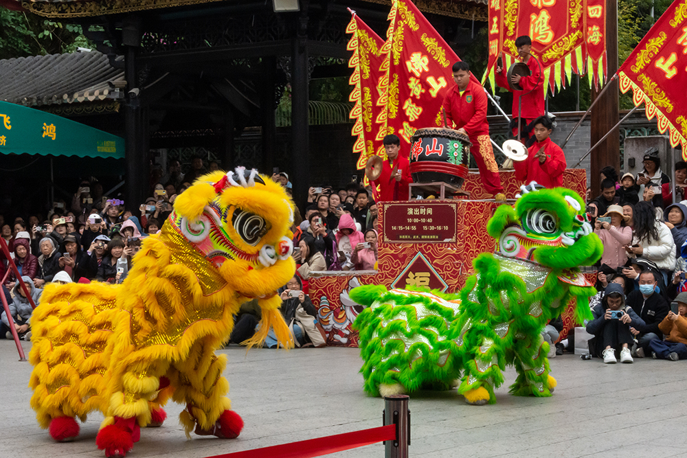 圖為廣東省佛山市祖廟的醒獅表演。