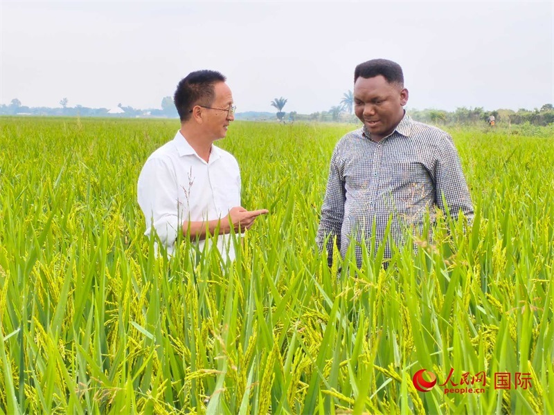 專家組組長楊華德在與農(nóng)民學(xué)員交流。人民網(wǎng)記者黃培昭攝