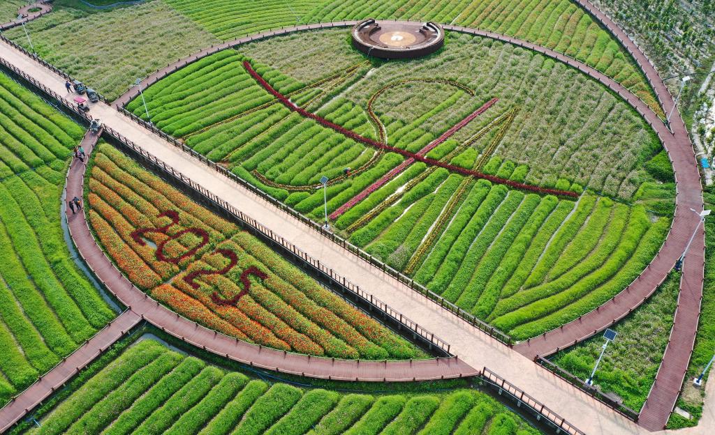 這是3月21日拍攝的瓊海博鰲南強(qiáng)村景色（無(wú)人機(jī)照片）。新華社記者 郭程 攝