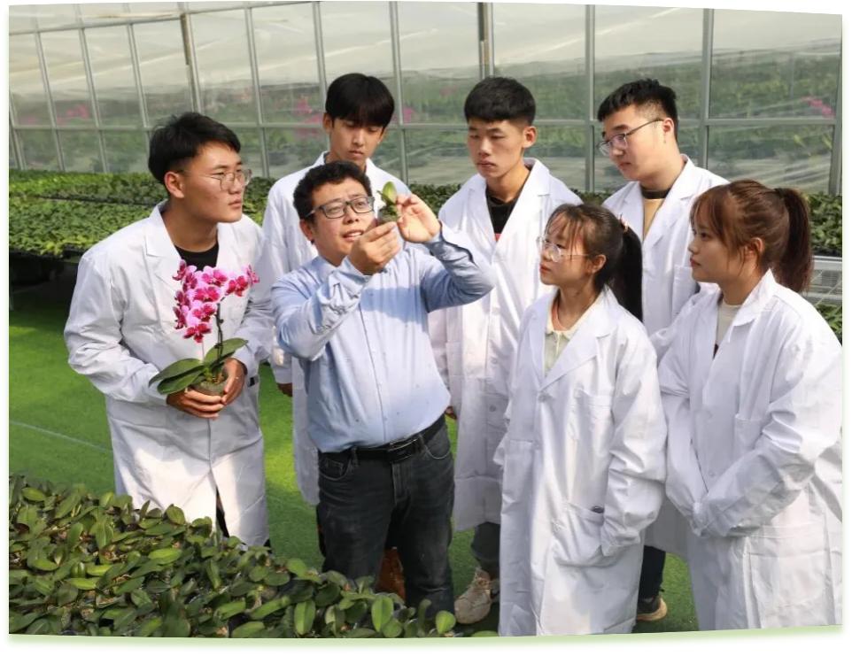 濰坊工程職業(yè)學院科技創(chuàng)新團隊為花卉行業(yè)從業(yè)者作蝴蝶蘭雜交選育技術(shù)指導。學校供圖
