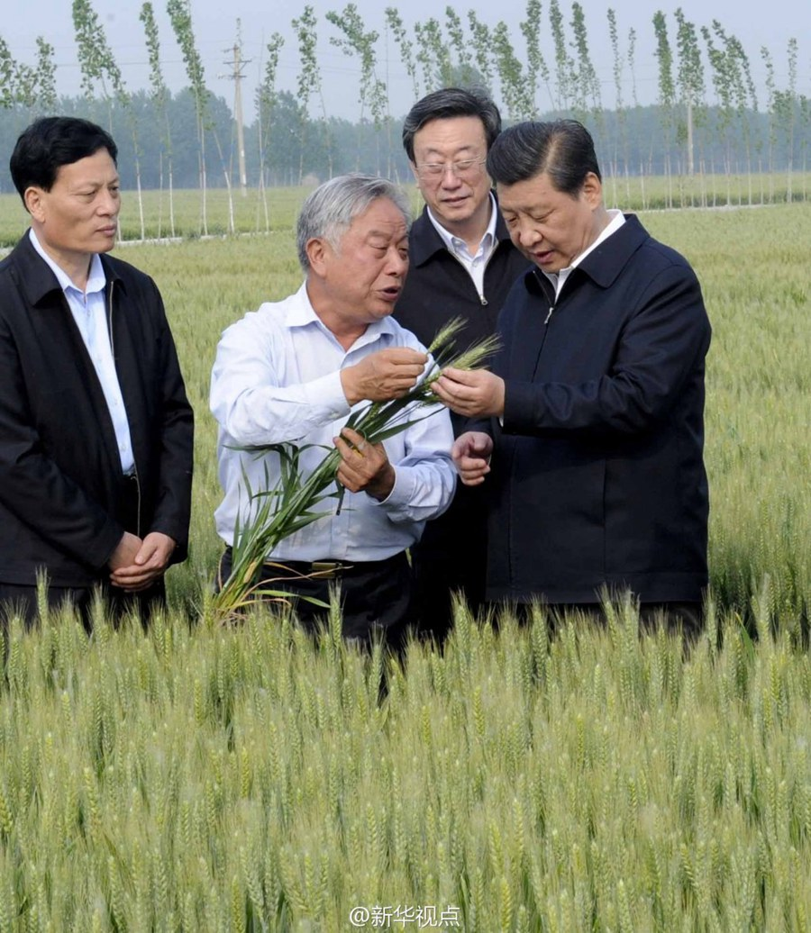 2014年5月，習(xí)近平總書記在河南省尉氏縣張市鎮(zhèn)高標(biāo)準(zhǔn)糧田察看小麥長(zhǎng)勢(shì)。