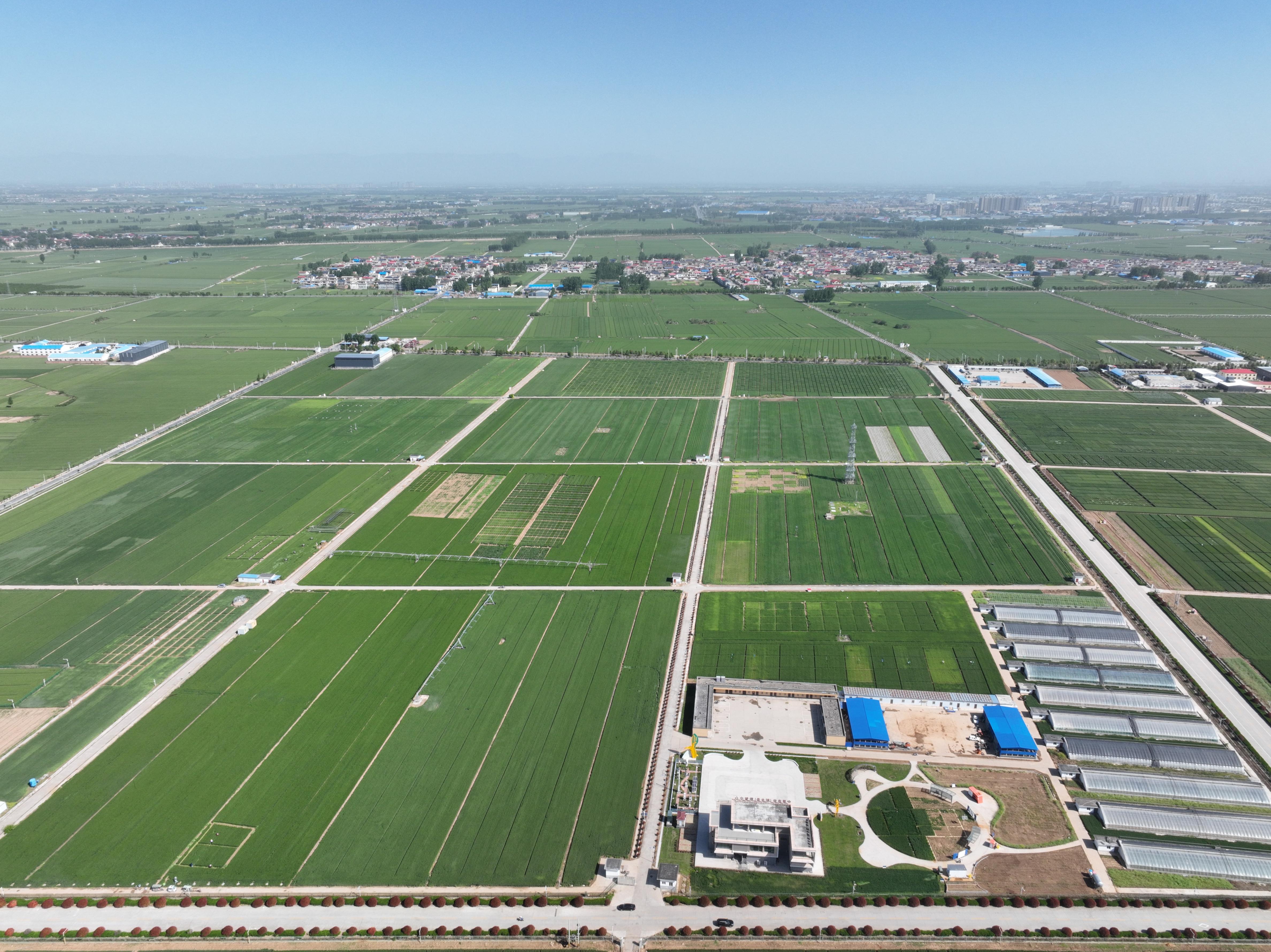 俯瞰水利部灌溉試驗總站試驗研究基地。受訪者供圖