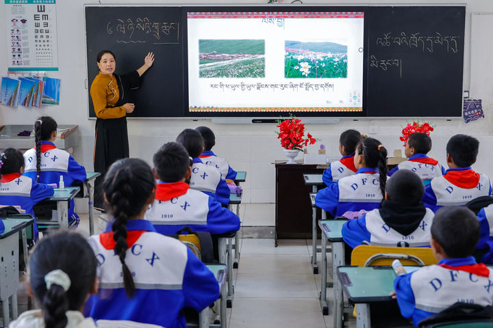 2024年9月27日，在四川省甘孜藏族自治州道孚縣城關(guān)第一完全小學(xué)，采取“藏加模式”教學(xué)的五年級(jí)一班的藏語(yǔ)文課上，準(zhǔn)木周老師指導(dǎo)藏族學(xué)生以家鄉(xiāng)草原風(fēng)物為主題寫(xiě)作藏語(yǔ)文作文。新華社記者 沈伯韓 攝